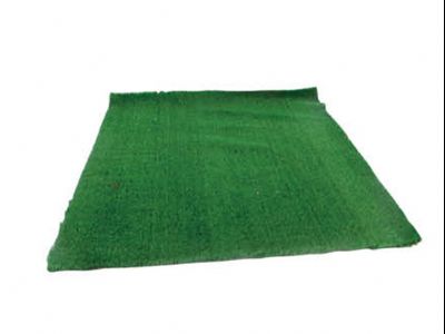 点击查看详细信息<br>标题：绿色草毯 阅读次数：2386