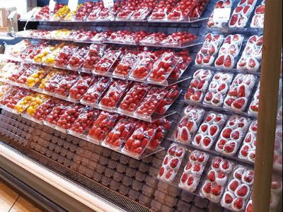 点击查看详细信息<br>标题：果蔬架-72 塑料模块 阅读次数：2297